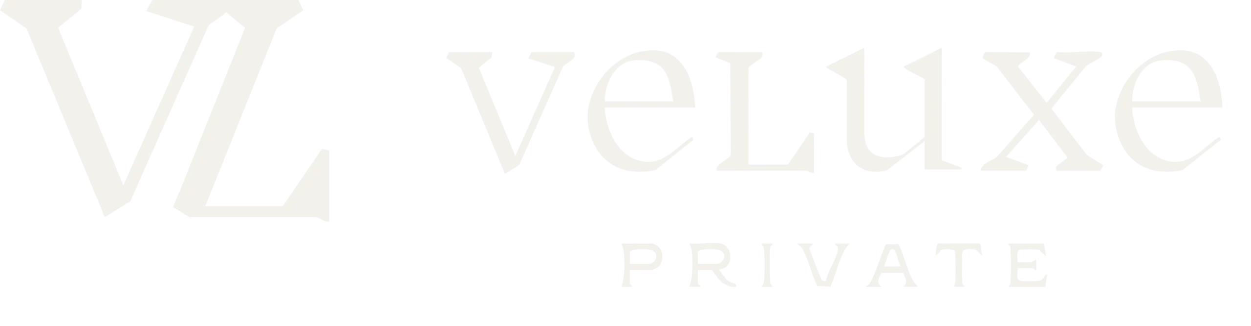 Veluxe Web mobile logo branco